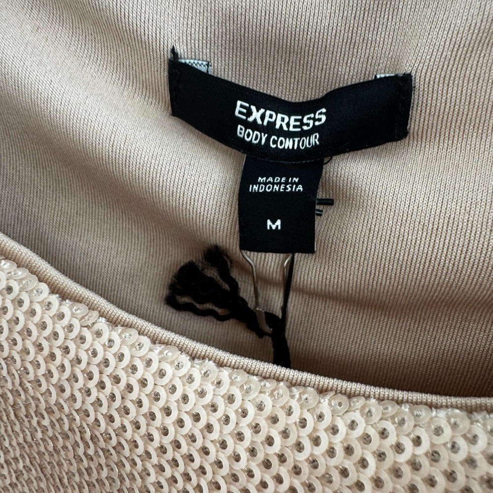 Express Shimmering Tan Sleeveless Bodysuit - Picture 4 of 6